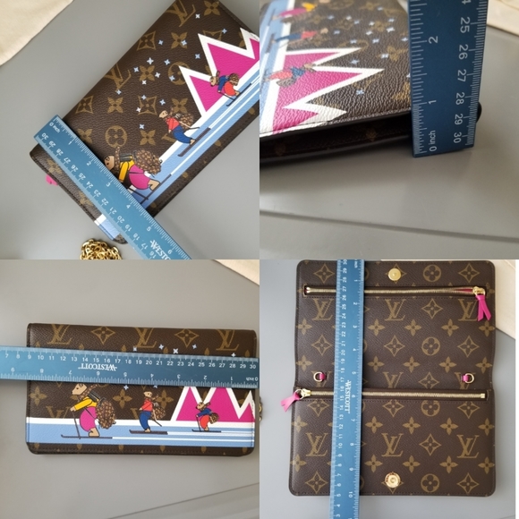 LOUIS VUITTON Beautiful Lemited Edition Shoulder/Crossbody LV Purse - Picture 4 of 16
